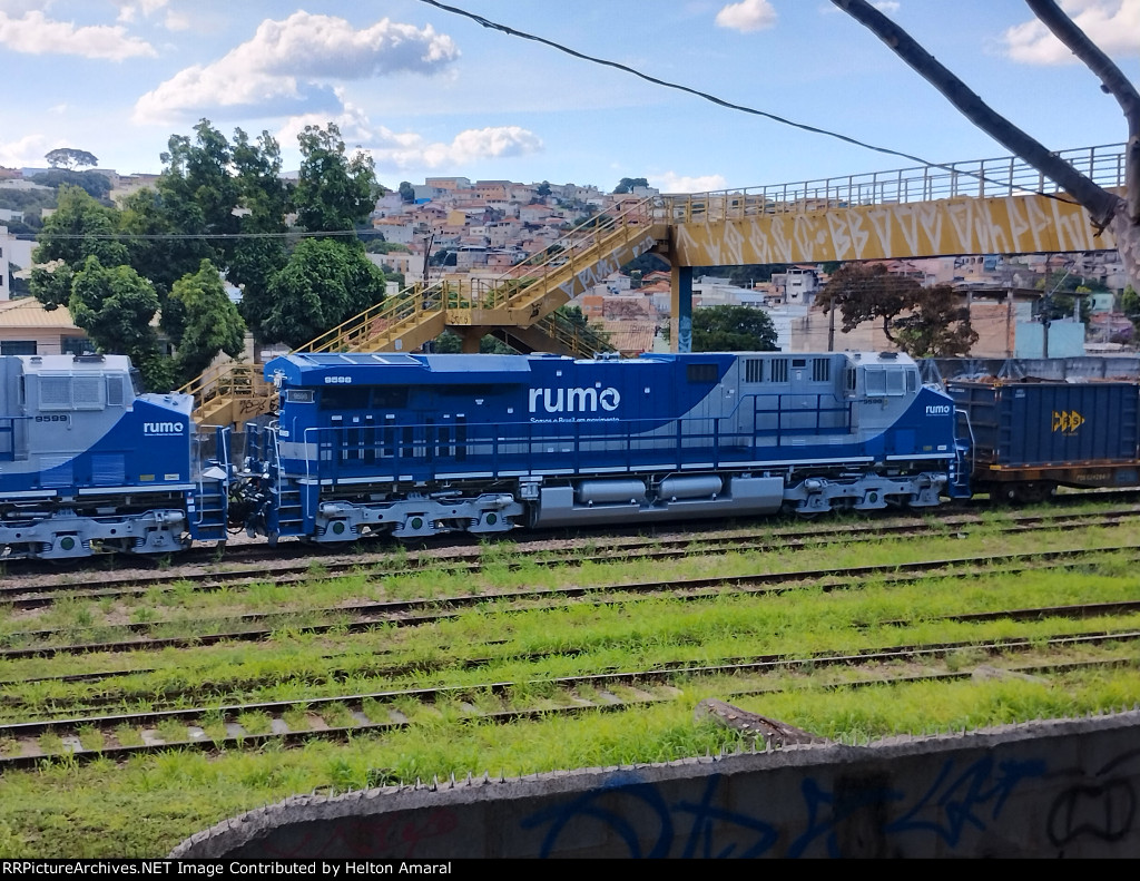 RUMO 9598